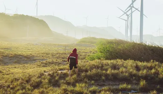 Sustainability, business and entrepreneurship  