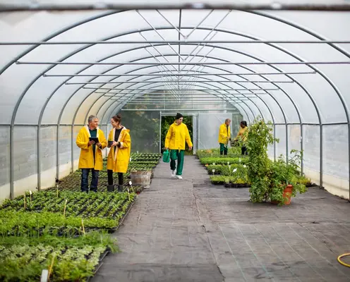 Core Skills for Green Jobs