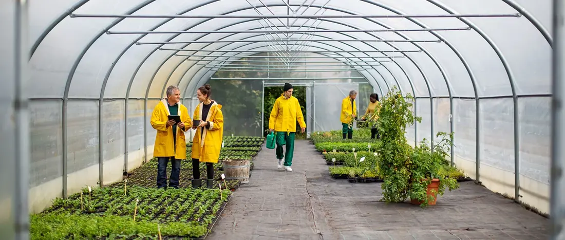 Core Skills for Green Jobs