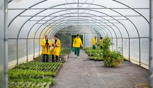 Green jobs animations (7-11)