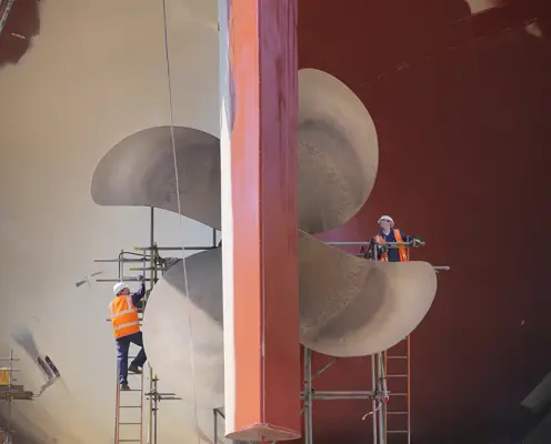 LifeSkills enterprise and entrepreneur resources